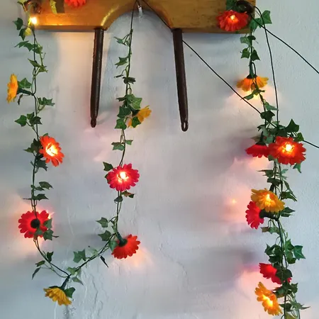 Casa Da Vovo Ceu - Gandaresa - Country House, Entre Coimbra E Aveiro, A 15 Minutos Carro Mira - Quintal Com Piscina Insuflavel * Cantanhede