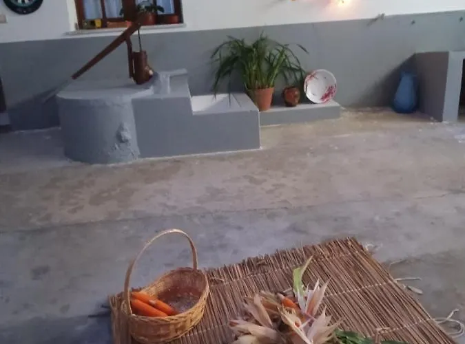 Casa Da Vovo Ceu - Gandaresa - Country House, Entre Coimbra E Aveiro, A 15 Minutos Carro Mira - Quintal Com Piscina Insuflavel