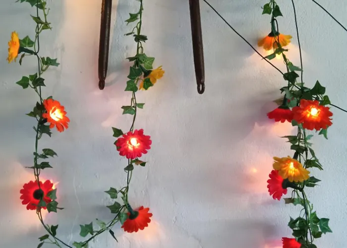 Casa Da Vovo Ceu - Gandaresa - Country House, Entre Coimbra E Aveiro, A 15 Minutos Carro Mira - Quintal Com Piscina Insuflavel * كانتانهيدي